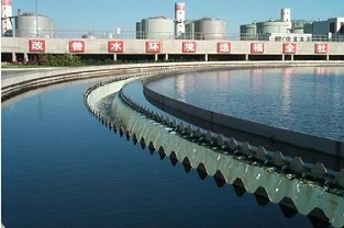 反硝化浮泥該如何預防？你知道嗎？