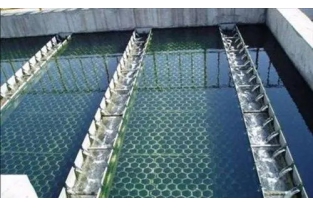 【干貨】生物濾池為什么一受沖擊氨氮去除率就會下降?