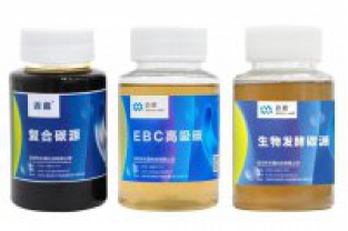 在設計污水處理系統時,如何評估碳源負荷?