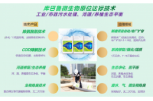 什么是氨氮激活菌,有什么作用